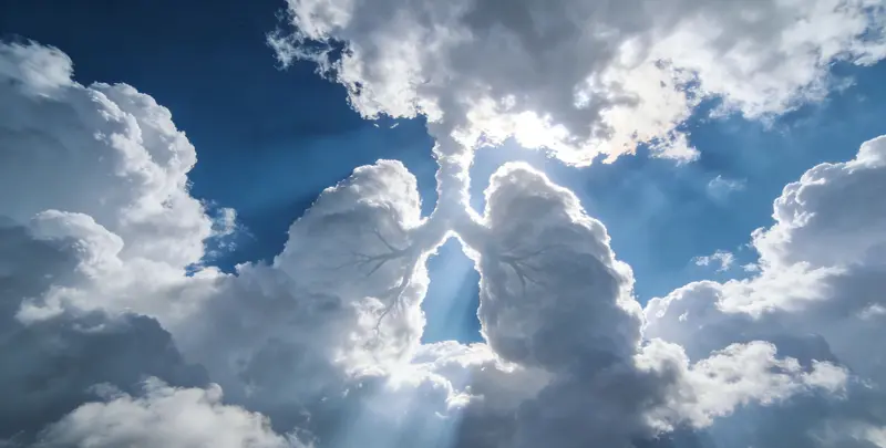 贵港肺癌靶向39基因检测及PDL122C3表达检测套餐（组织）图片1