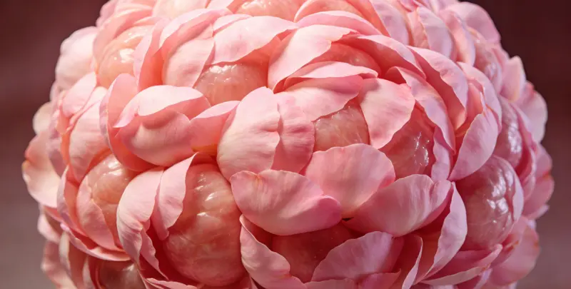 贵港BRCA1/2乳腺癌卵巢癌基因检测图片1