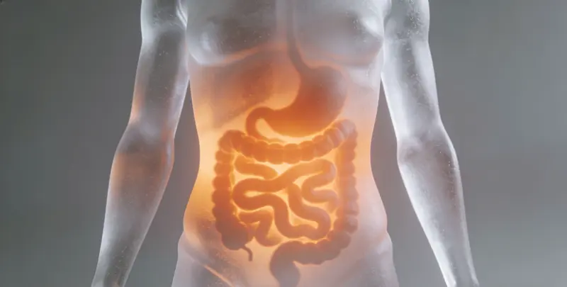 贵港肠癌甲基化检测图片1